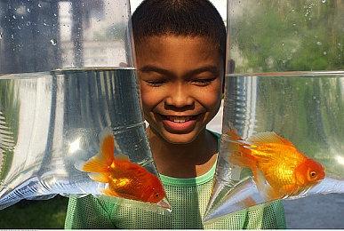 磨人的小妖怪《对马岛之鬼》导剪版添加狐狸求摸动作 